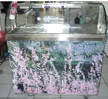 SYGU-1v03水果弧形波璃冰箱